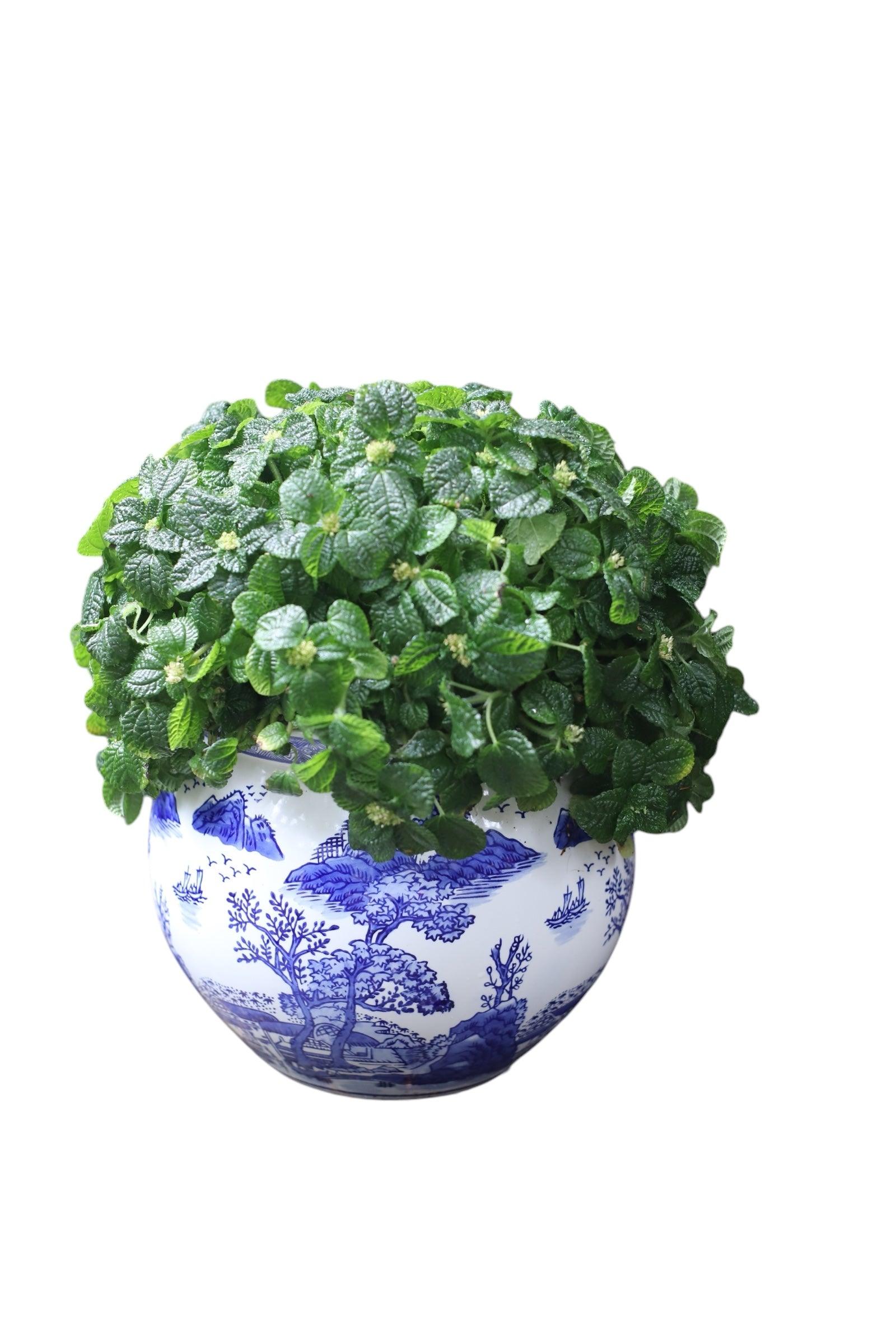 11 inch planter pot Ceramic Blue & White Landscape Design 11-Inch Planter Pot – Euro Ceramica