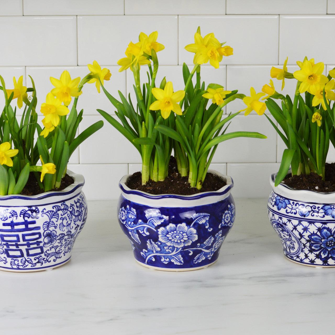 blue plant pot set Blue and White Terrace Garden Planter Set – Euro Ceramica