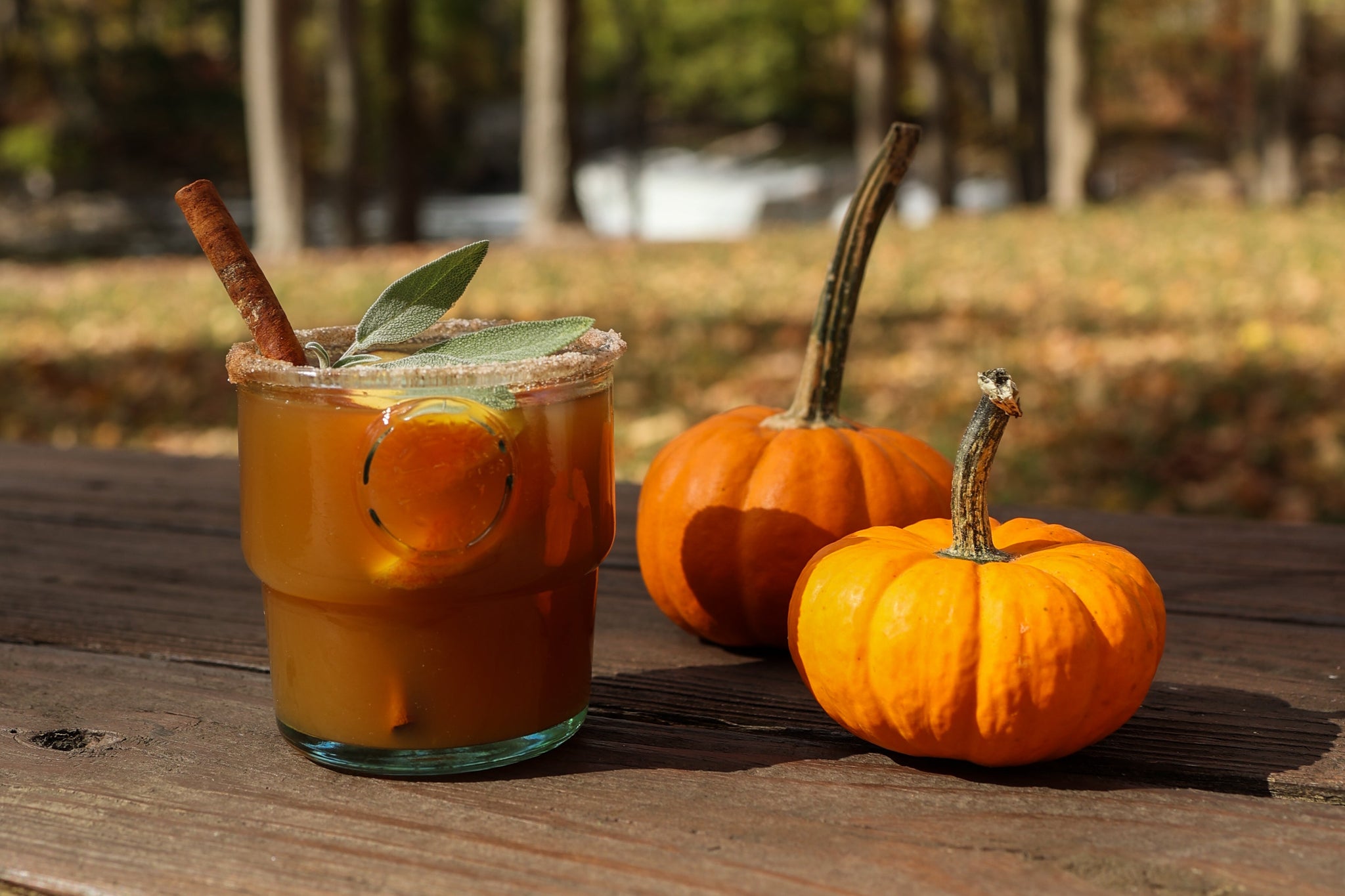 Fall Happy Hour at Home: Apple Cider Margaritas & Cozy Vibes