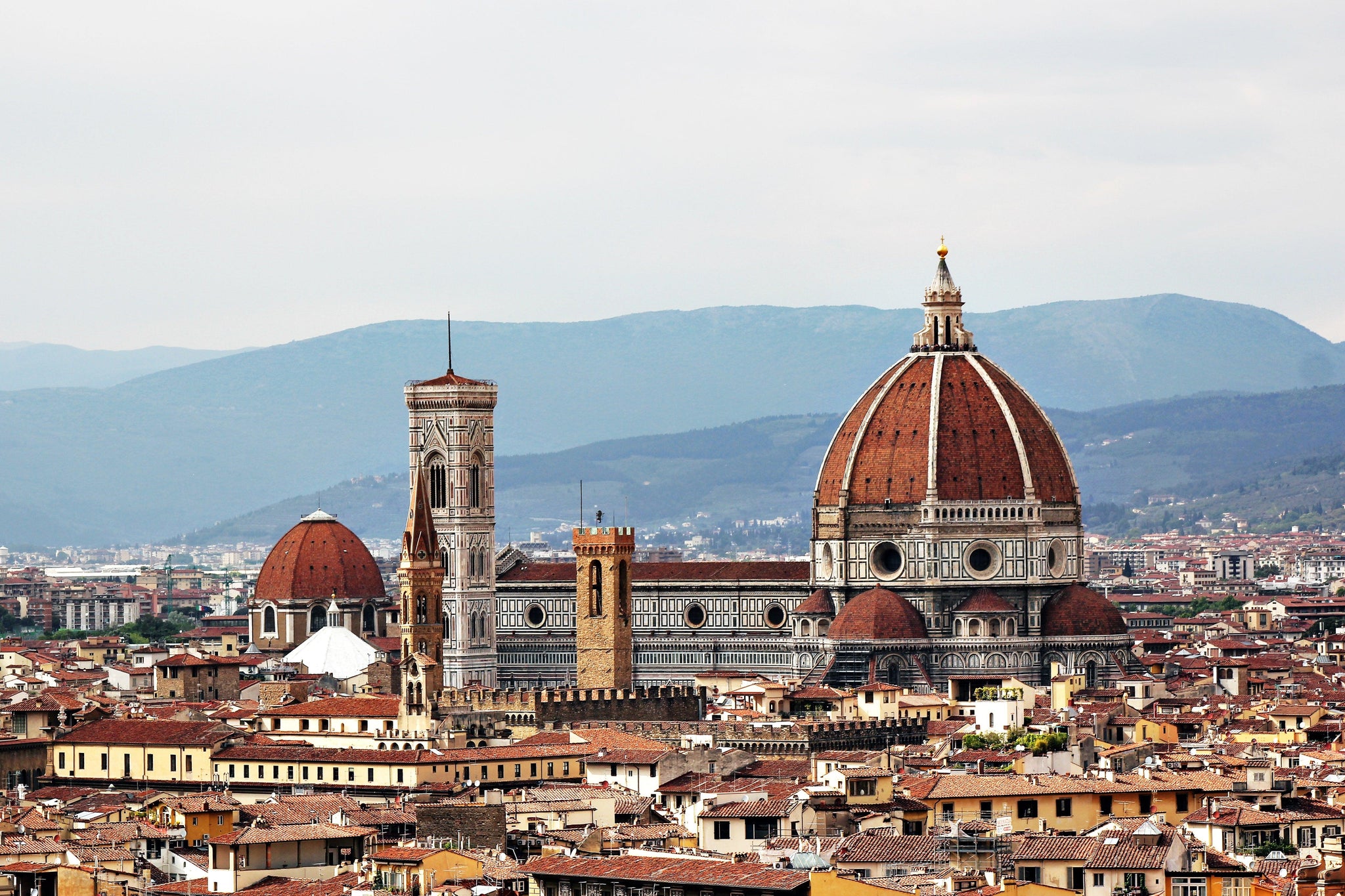 Duomo: The Italy Destination and Everyday Dishes - Euro Ceramica 