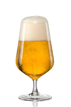 Sandra 12.9-Oz. Beer Glass, Set of 4