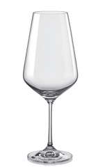 Sandra 11.83-Oz White Wine Glass, Set of 4