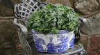 Ceramic Blue & White Landscape Design 13.25-Inch Oval Scalloped Edge Planter