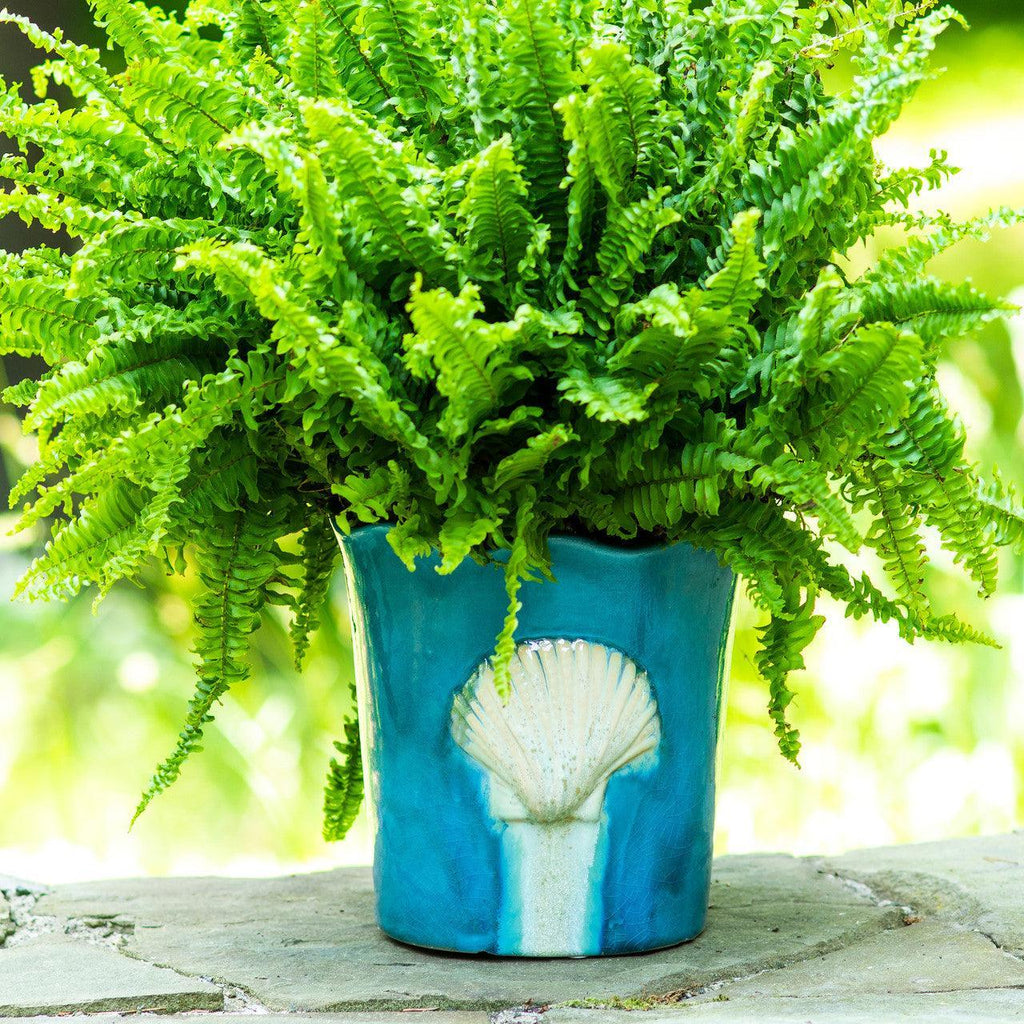 Ocean Grotto Seashell Scalloped Planter - Euro Ceramica 