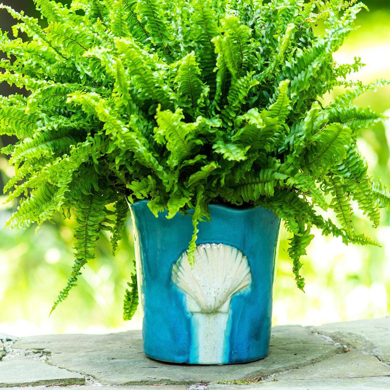 Ocean Grotto Seashell Scalloped Planter - Euro Ceramica 