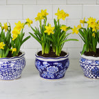 Blue and White Terrace Garden Planter Set - Euro Ceramica 