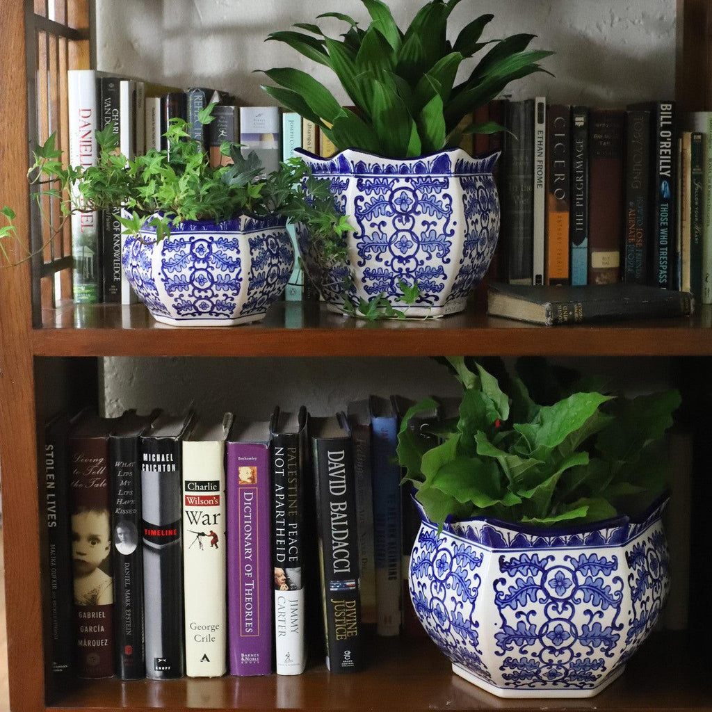 Blue Garden Decorative Flower C Planter Set Of 3 - Euro Ceramica 